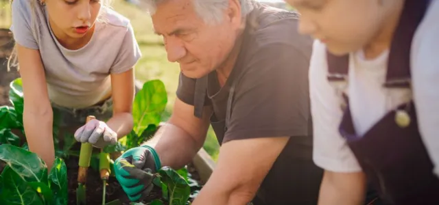 Grandfather teaching granddaughters gardening in backyard vegetable garden